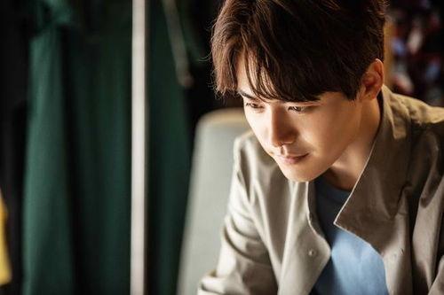 丹枫爆料剧情介绍视频